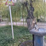 بوستان نگار