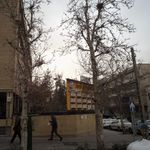 دکتر محمد حیدری