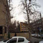 دکتر محمد حیدری