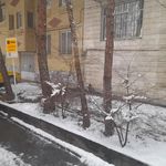 ایستگاه اتوبوس نوفل لوشاتو 6
