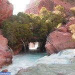 آبشار آب ملخ