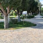 میدان یکم پرنده