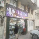 الکتریکی المهدی