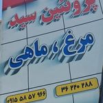 پروتئین سید