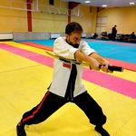 باشگاه رزمی استاد آبرودی