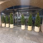 کافه رستوران لایم