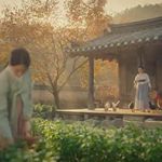 انیمیشن وفیلم های کوتاه بین دانا