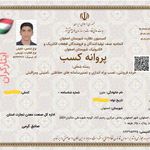 گواهی کسب‌وکار برای خدمات دوربین مداربسته و دزدگیر علوی