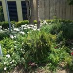 سرویس بهداشتی بوستان ری