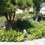 سرویس بهداشتی بوستان ری