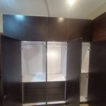 خدمات پارتیشن اصلانی