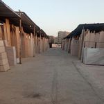 سنگ صدف