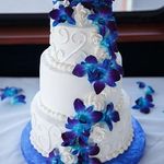 کافی نت پاسارگاد