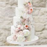 کافی نت پاسارگاد