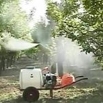 داود نودهانی