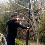 داود نودهانی