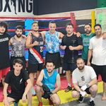 کلاب بوکس شاهین