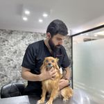 کلینیک دامپزشکی جزیره حیوانات