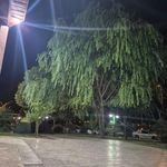 پارک مسافر