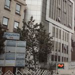 دکتر نازنین نویدی