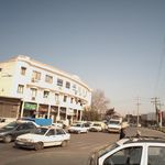 داروخانه دامپزشکی