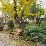 سرویس بهداشتی بوستان اشرفی اصفهانی