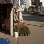 سوپر مارکت قاسمی