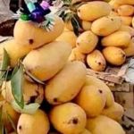حجره میدان مرکزی میوه و تره بار تهران حسین زالی( شرافت)