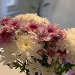 فوگا یوگا