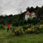 اجاره اقامتگاه جنگلی وکوهستانی در شمال