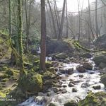 اجاره اقامتگاه جنگلی وکوهستانی در شمال