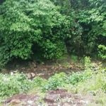 اجاره اقامتگاه جنگلی وکوهستانی در شمال