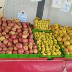 میوه و تره بارشیخ صندوق