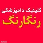 کلینیک دامپزشکی رنگارنگ