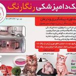 کلینیک دامپزشکی رنگارنگ