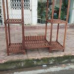 گل آزالیا