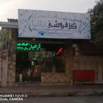 گل آزالیا