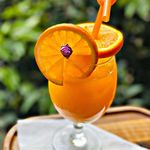 باغ رستوران شاندیز تهران