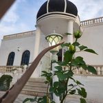 آتلیه باغ امیران