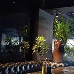 کافه رستوران مورالانژ