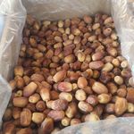لبنیات و بستنی سوت ایچ