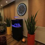 یوگا با سیما غریبان (مدرسه یوگا شهرزاد)