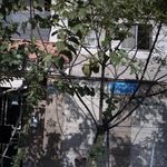 بلوار ولایت