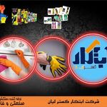 شرکت ابتکار گستر لیان