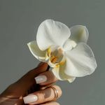 سالن زیبایی مانژه