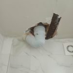 غلامرضا ممیوند