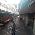 کافی شاپ دیزی تو 