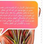 فیزیوتراپی رایان