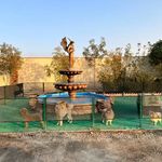 پانسیون سگ والکریا