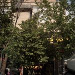 چلو جوجه